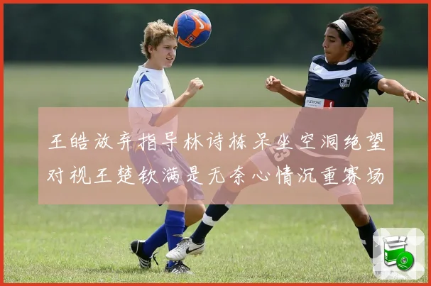 王皓放弃指导林诗栋呆坐空洞绝望对视王楚钦满是无奈心情沉重赛场解读