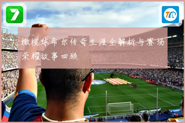 橄榄球希尔传奇生涯全解析与赛场荣耀故事回顾