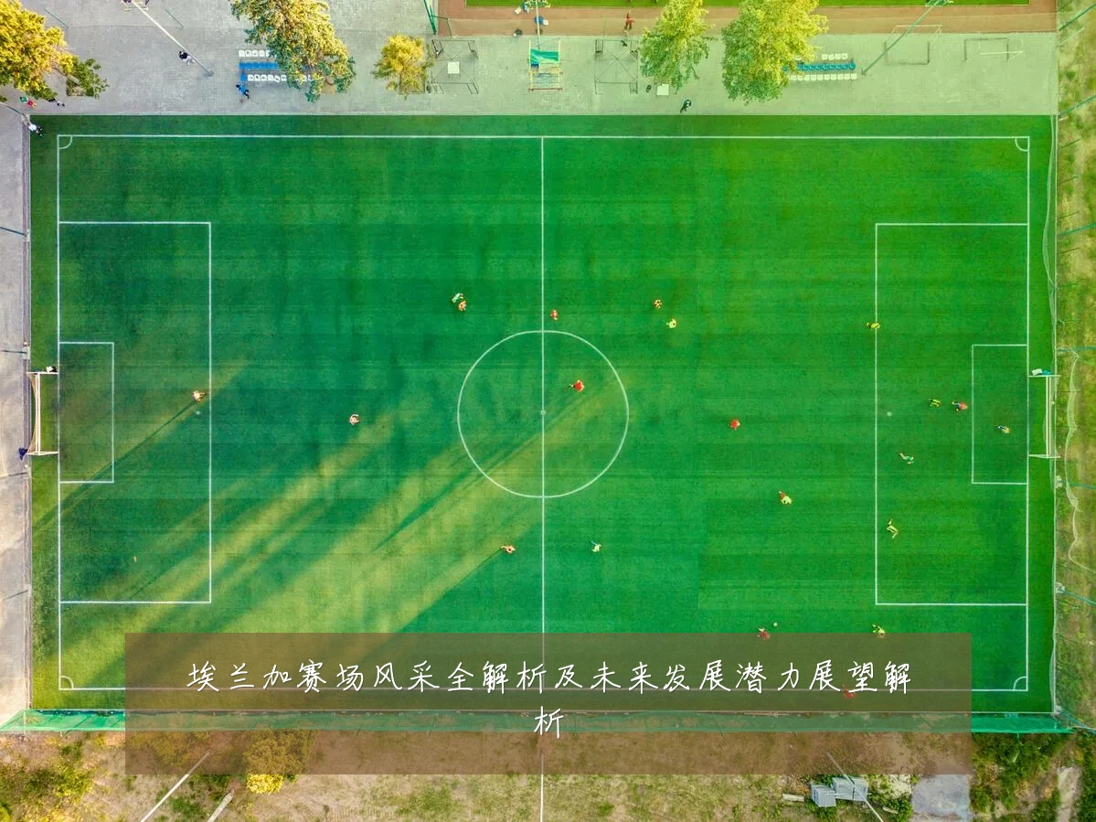 埃兰加赛场风采全解析及未来发展潜力展望解析